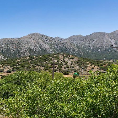 Villa Skyphos Ammoudari 외부 사진