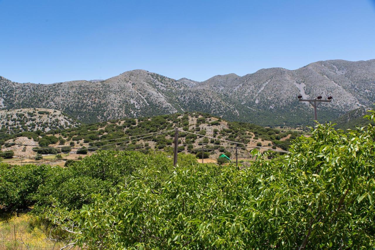 Villa Skyphos Ammoudari 외부 사진